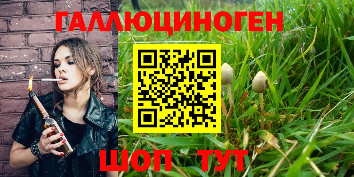 Галлюциногенные грибы MAGIC MUSHROOMS Великие Луки